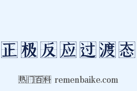 正极反应过渡态是什么意思的图片